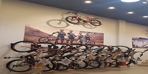 Bharat Cycle Store